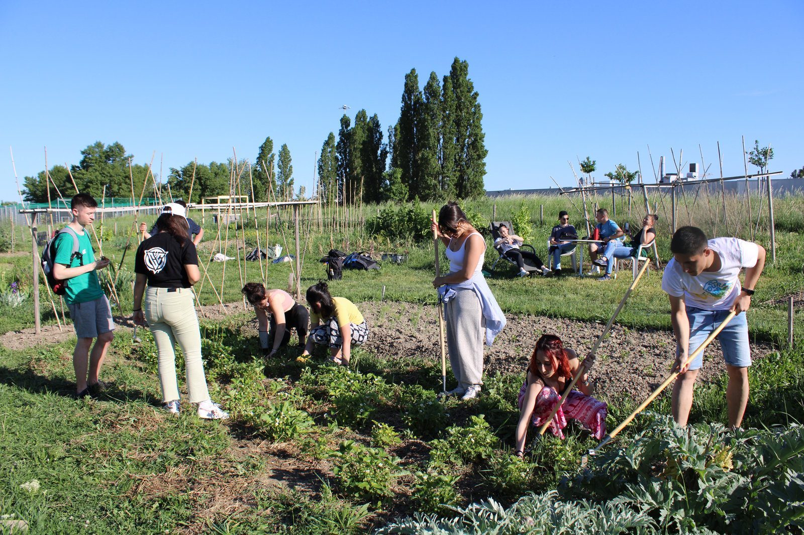Plant the Future, photo 5