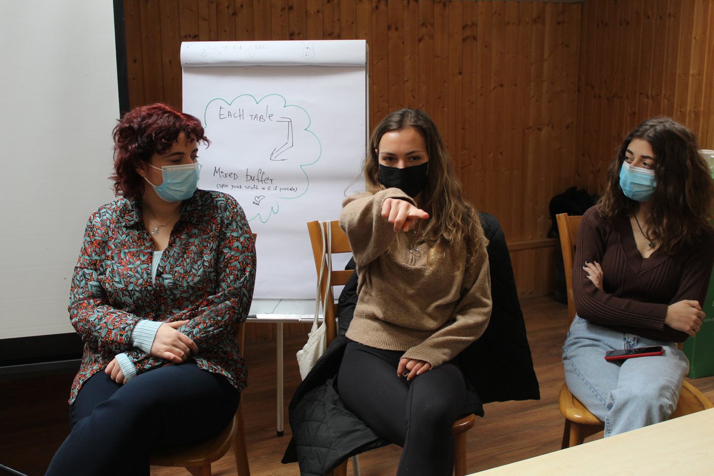Photo 5 from the training course in Rustavi