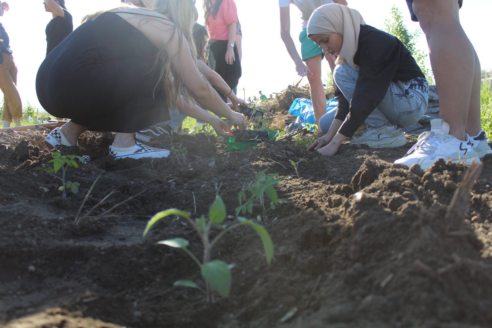 Plant the Future, photo 4